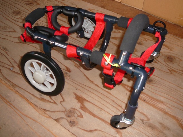 640×480-P1130045.jpg