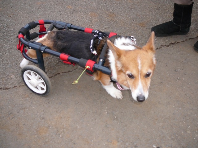 640×480-P1130082.jpg