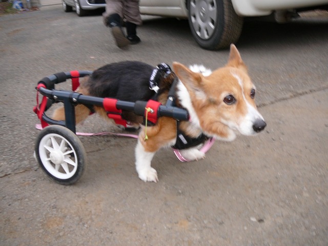 640×480-P1130083.jpg