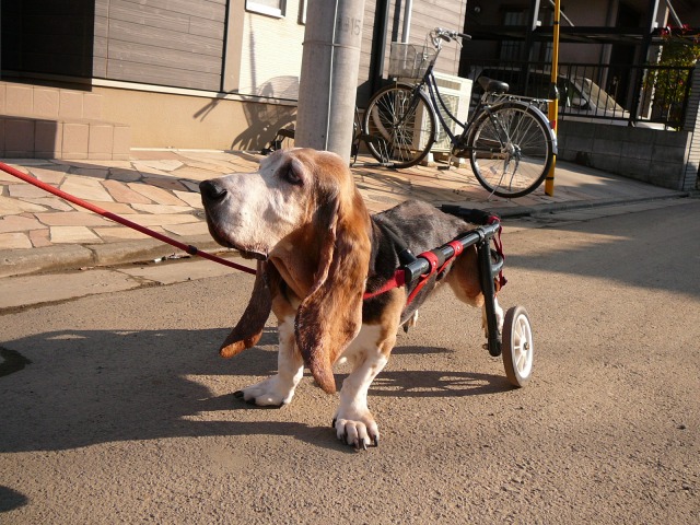 640×480-P1130105.jpg