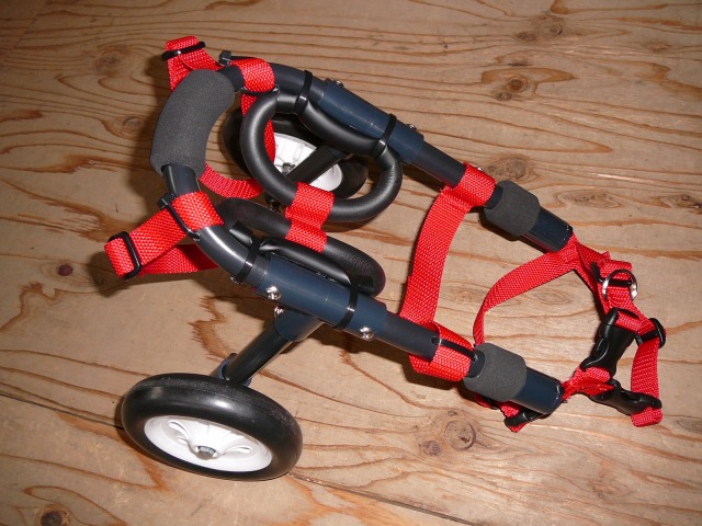 640×480-P1130357.jpg