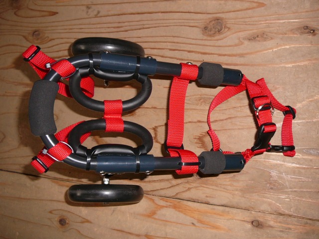 640×480-P1130359.jpg