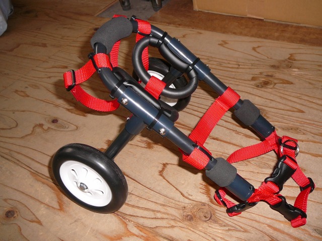 640×480-P1130360.jpg