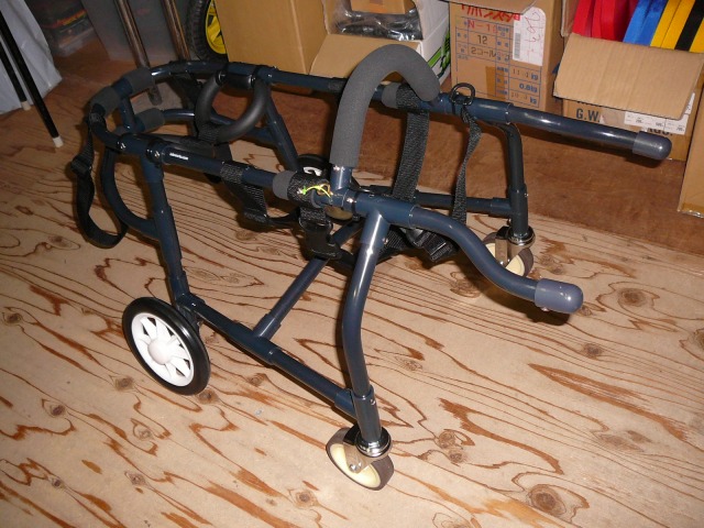 640×480-P1160144.jpg