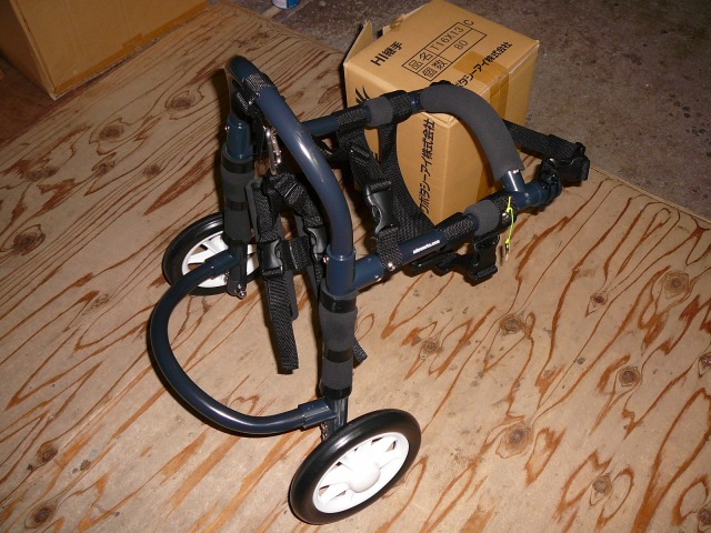 640×480-P1170395.jpg