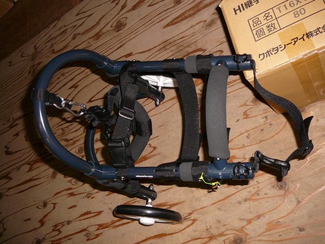 640×480-P1170396.jpg