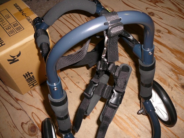 640×480-P1170397.jpg