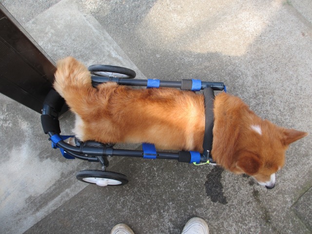 640×480-PHOTO051.jpg