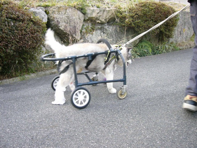 640×480-dc28.jpg
