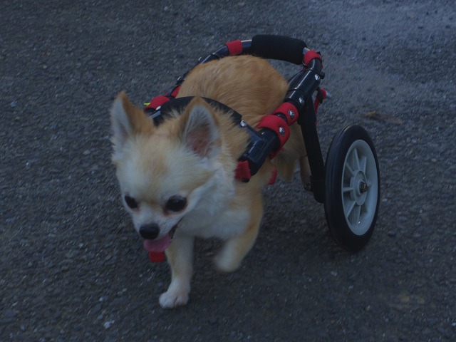 640×480IMGP0073.jpg