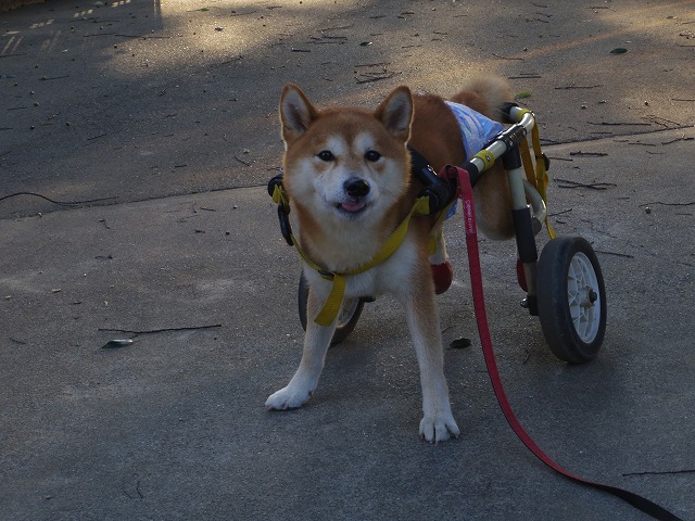 640×480IMGP1128.jpg