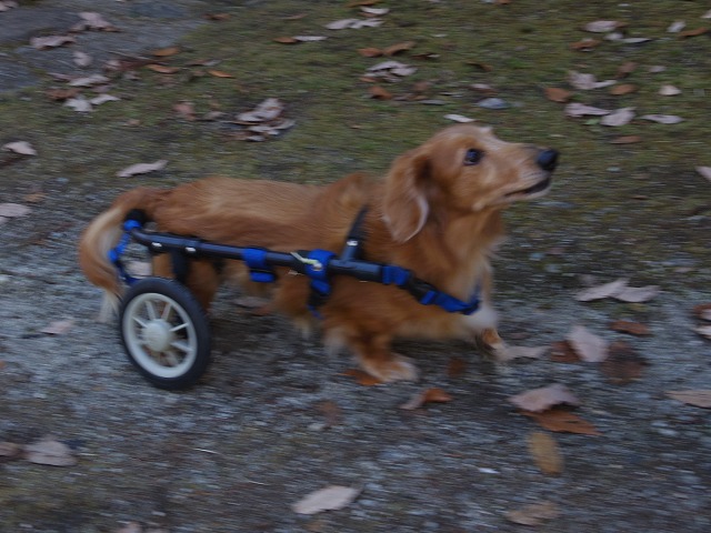 640×480IMGP1759.jpg