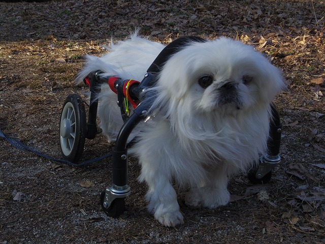 640×480IMGP2141.jpg
