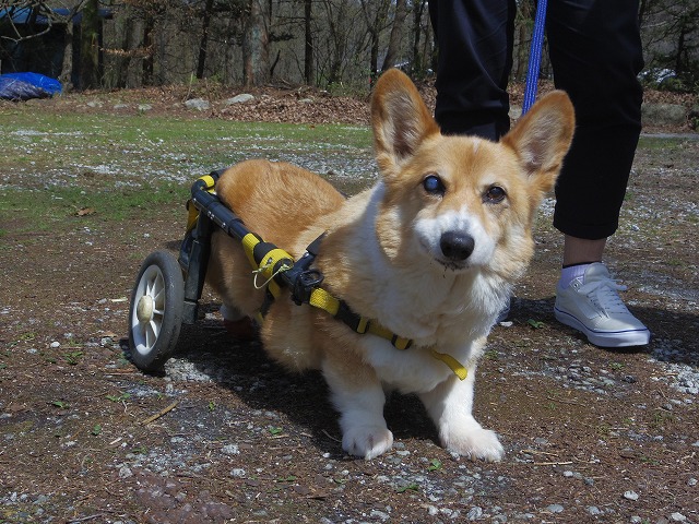 640×480IMGP2369.jpg