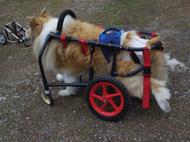 640×480IMGP2374.jpg