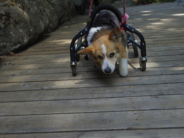 640×480IMGP2771.jpg