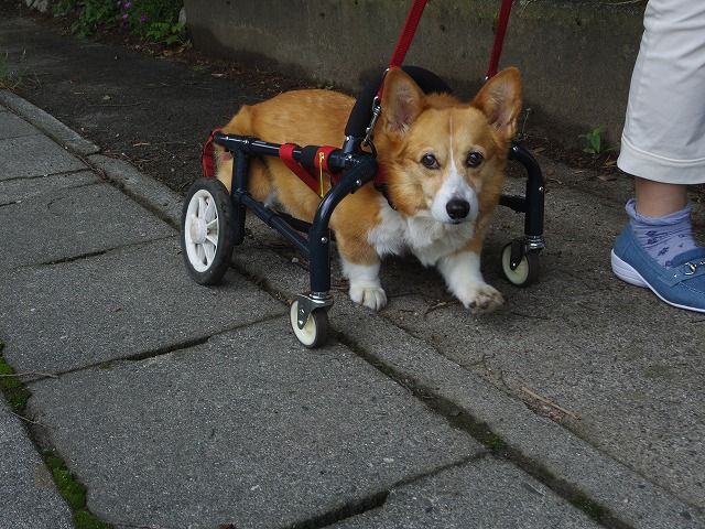 640×480IMGP2909.jpg