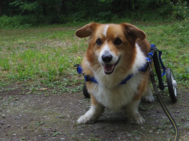 640×480IMGP3293.jpg