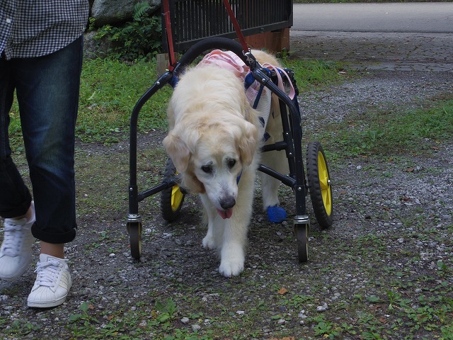 640×480IMGP3413.jpg