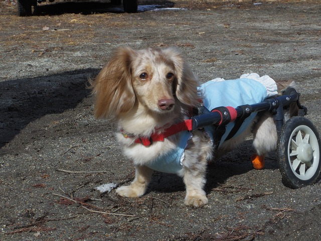 640×480IMGP4262.jpg