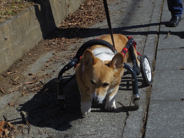 640×480IMGP4362.jpg