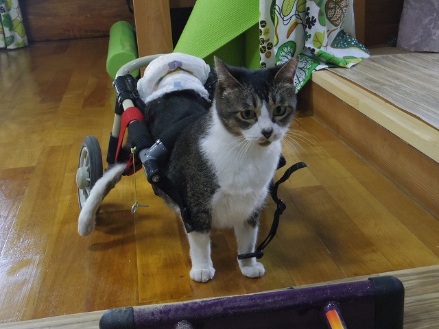 640×480IMGP5513.jpg
