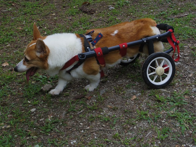 640×480IMGP5539.jpg