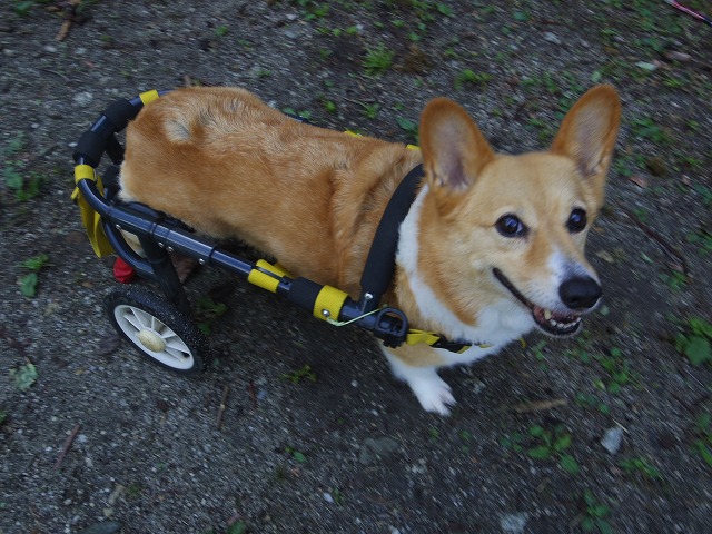 640×480IMGP5545.jpg