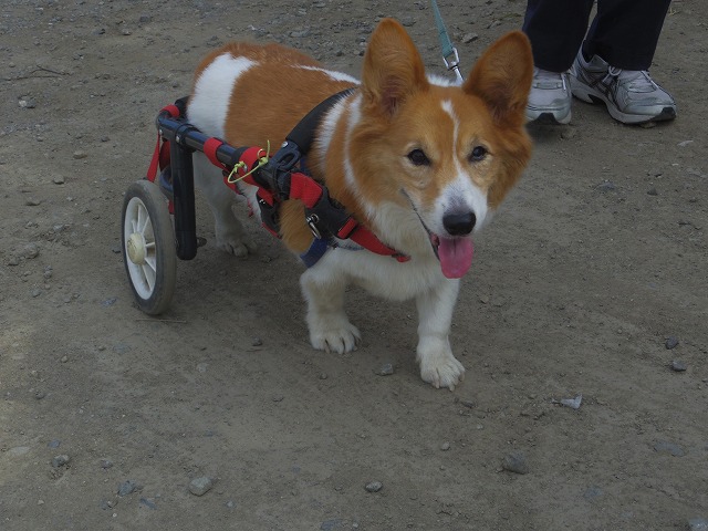 640×480IMGP5844.jpg