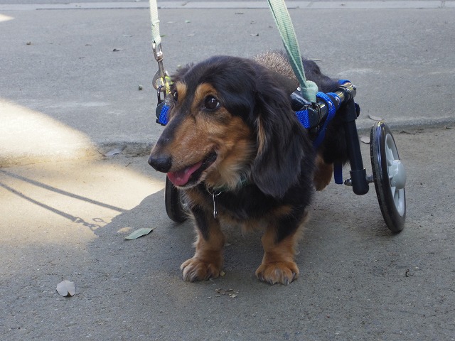 640×480IMGP5869.jpg