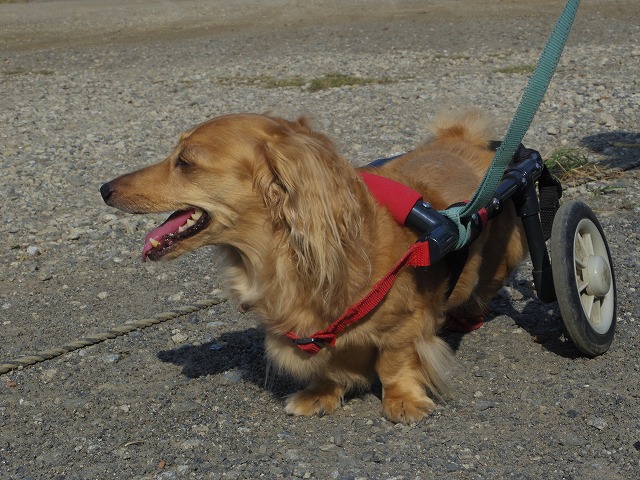 640×480IMGP5881.jpg