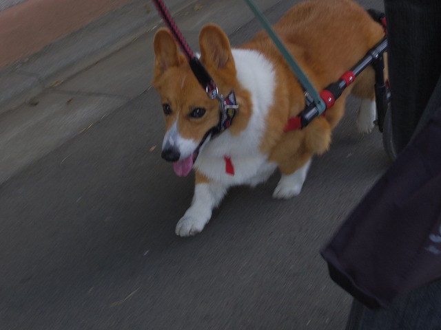 640×480IMGP6019.jpg