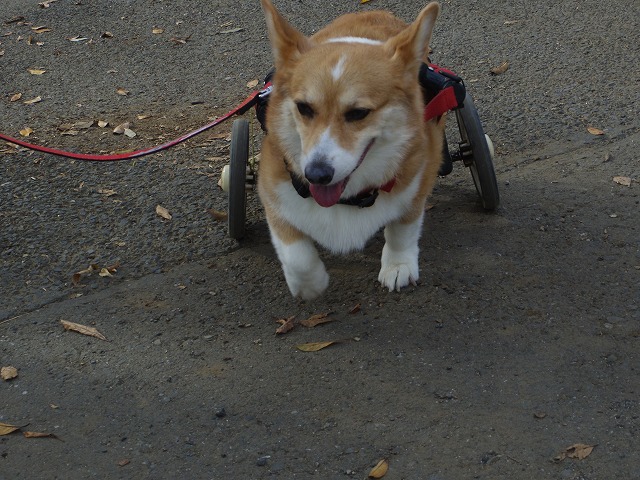 640×480IMGP6188.jpg