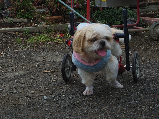 640×480IMGP6300.jpg