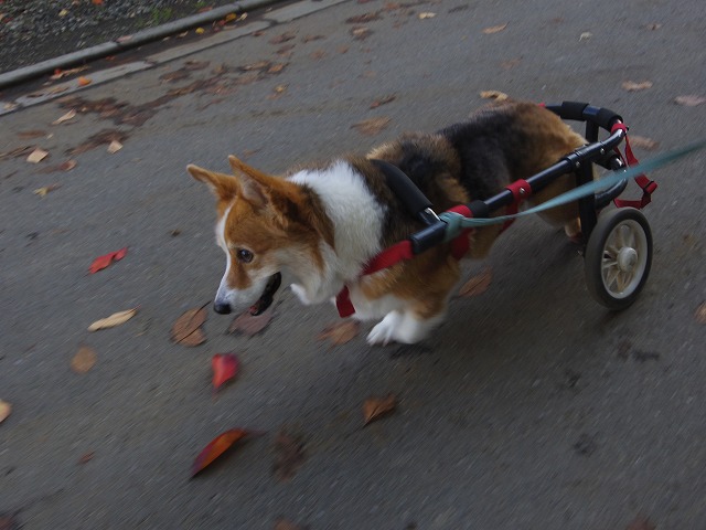 640×480IMGP6827.jpg