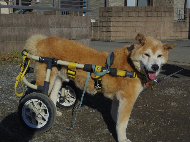 640×480IMGP7185.jpg