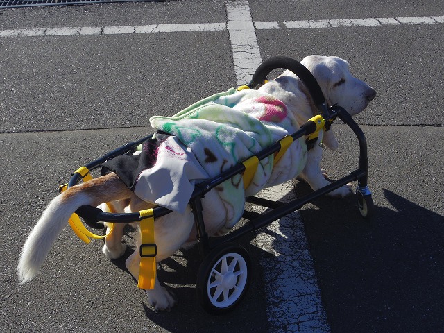 640×480IMGP7328.jpg