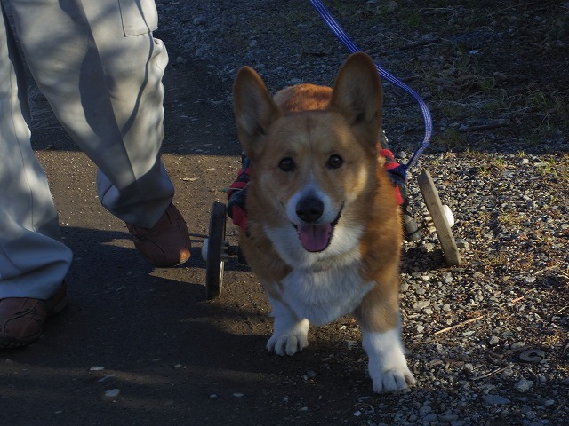 640×480IMGP7338.jpg