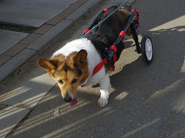 640×480IMGP7376.jpg
