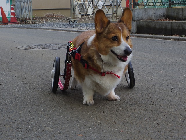640×480IMGP7425.jpg