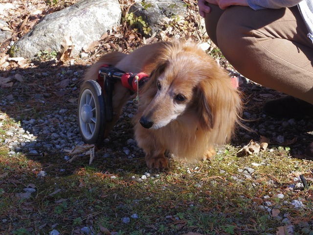 640×480IMGP7844.jpg