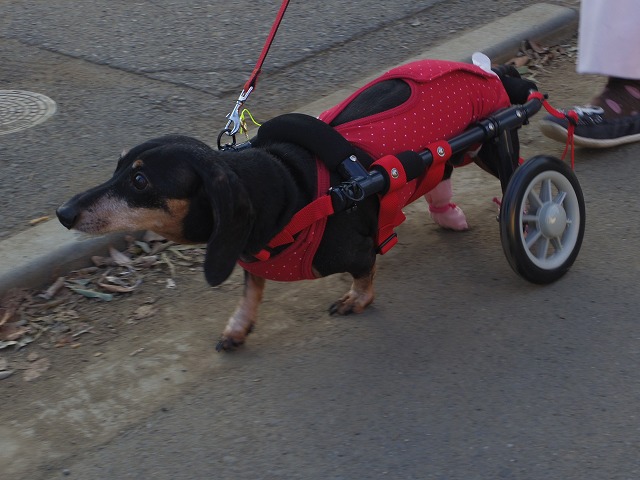 640×480IMGP7882.jpg