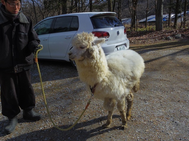 640×480IMGP7918.jpg