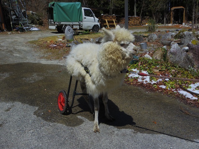 640×480IMGP8143.jpg