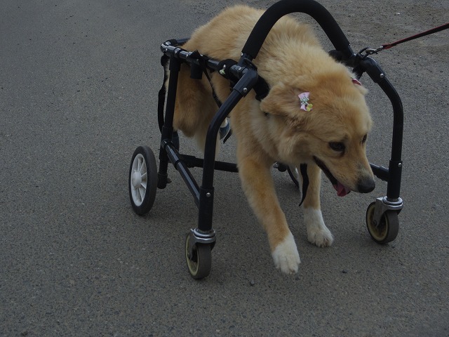 640×480IMGP8232.jpg
