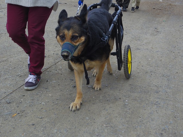 640×480IMGP8254.jpg