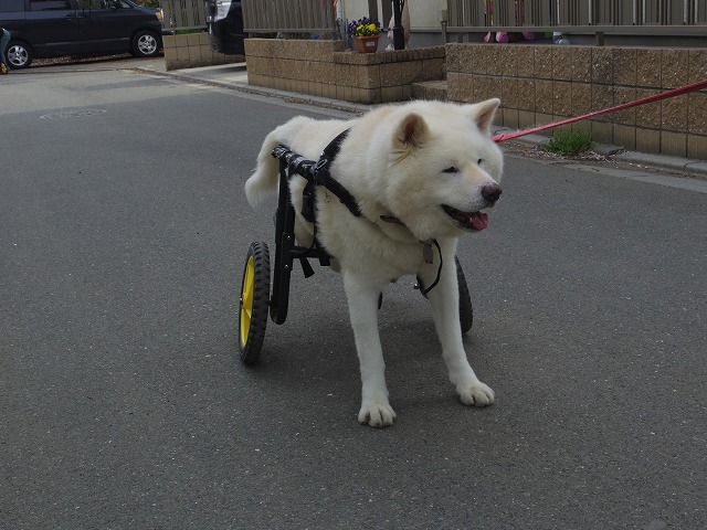 640×480IMGP8328.jpg