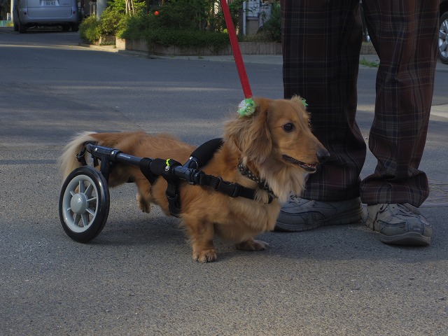 640×480IMGP8479.jpg