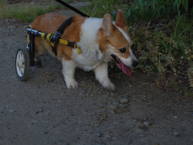 640×480IMGP8586.jpg