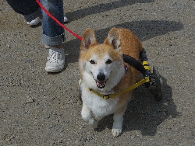 640×480IMGP8712.jpg